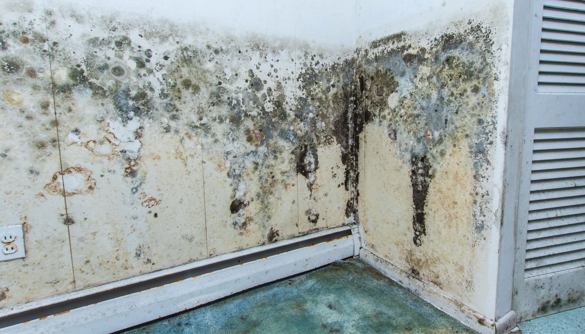 Professional mold removal, odor control, and water damage restoration service in Des Moines, Iowa.