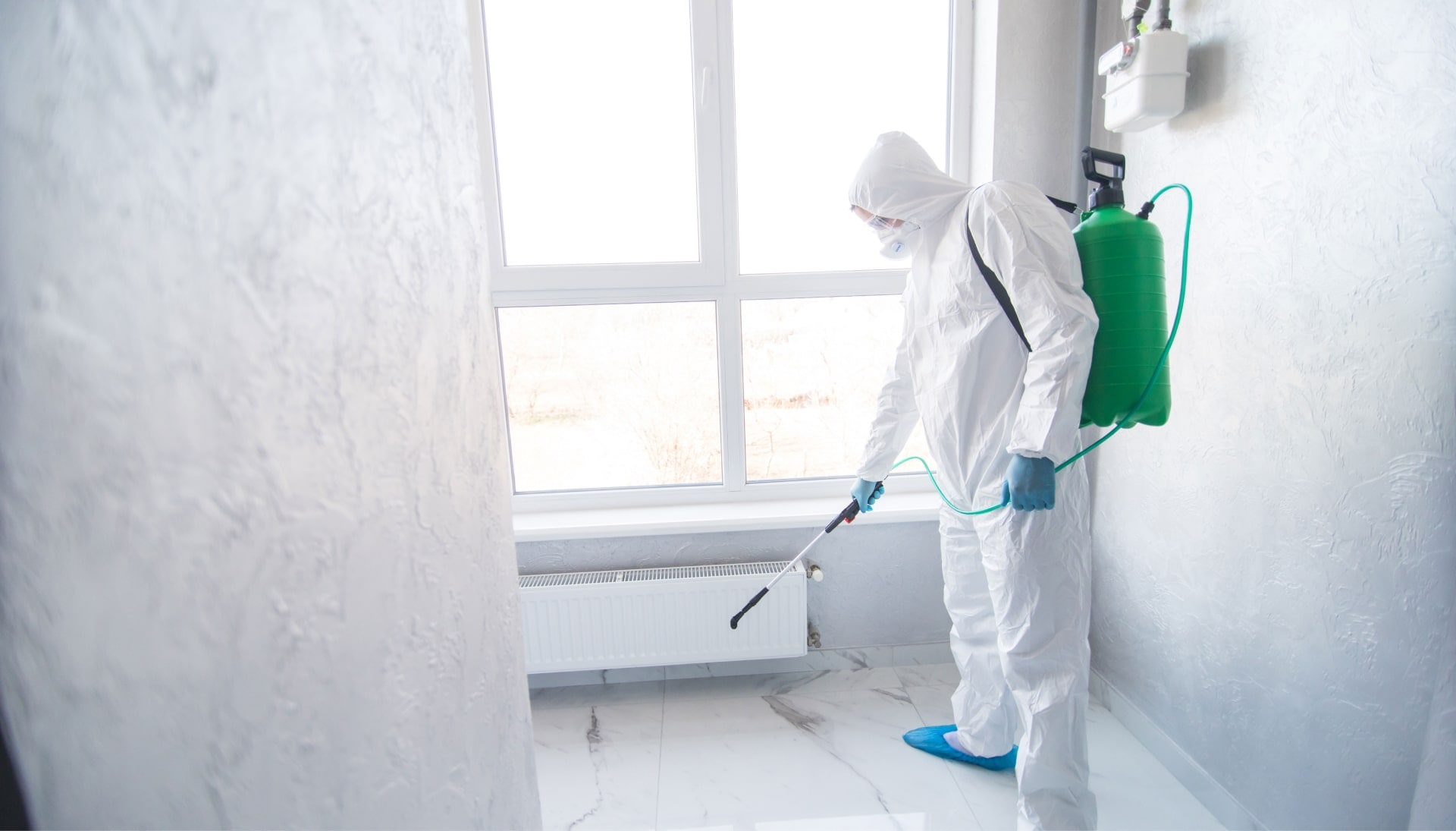 We provide the highest-quality mold inspection, testing, and removal services in the Des Moines, Iowa area.